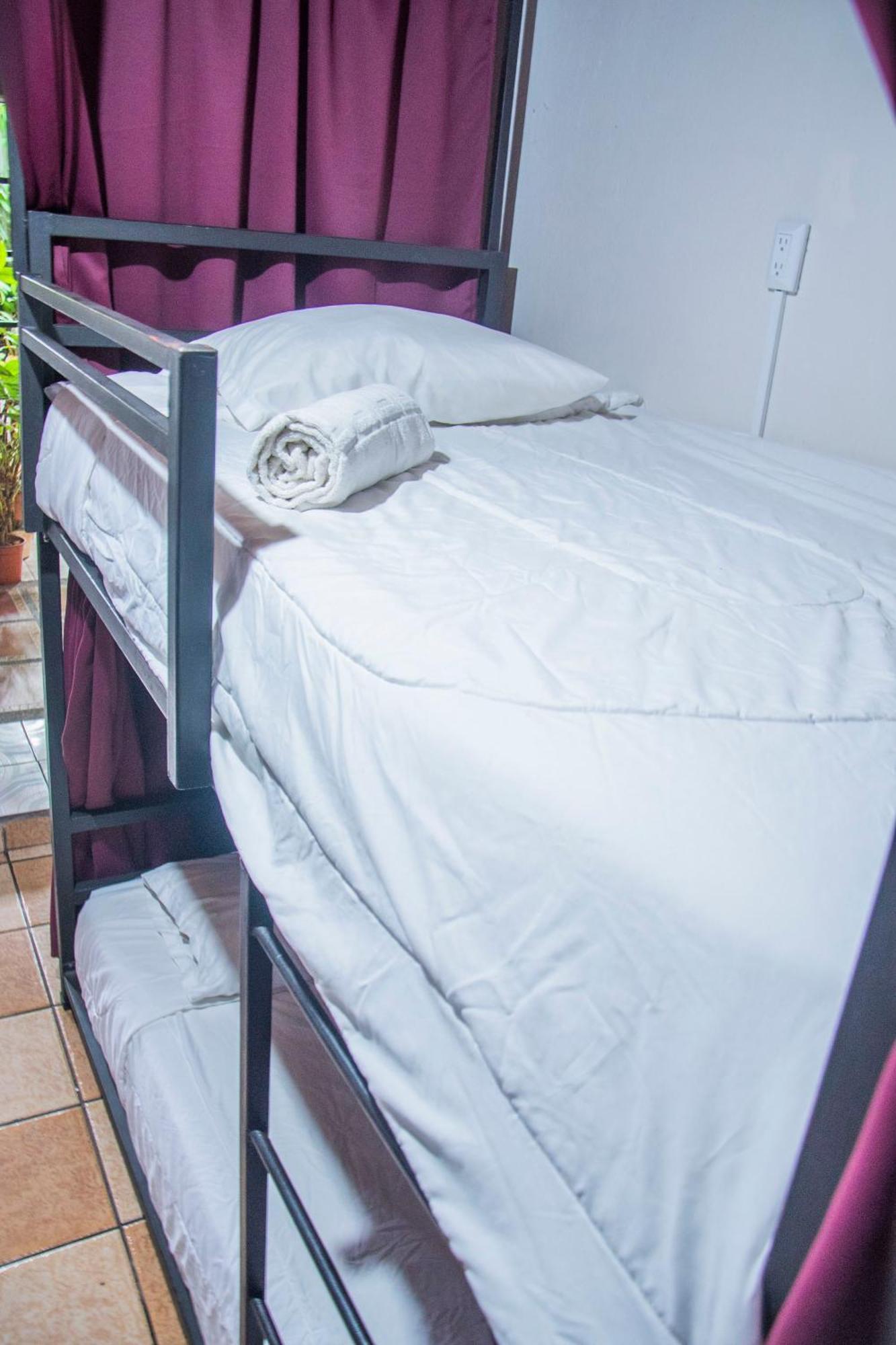 Gardens House, Airport Juan Santamaria, Alajuela, San Jose Vandrehjem Eksteriør billede