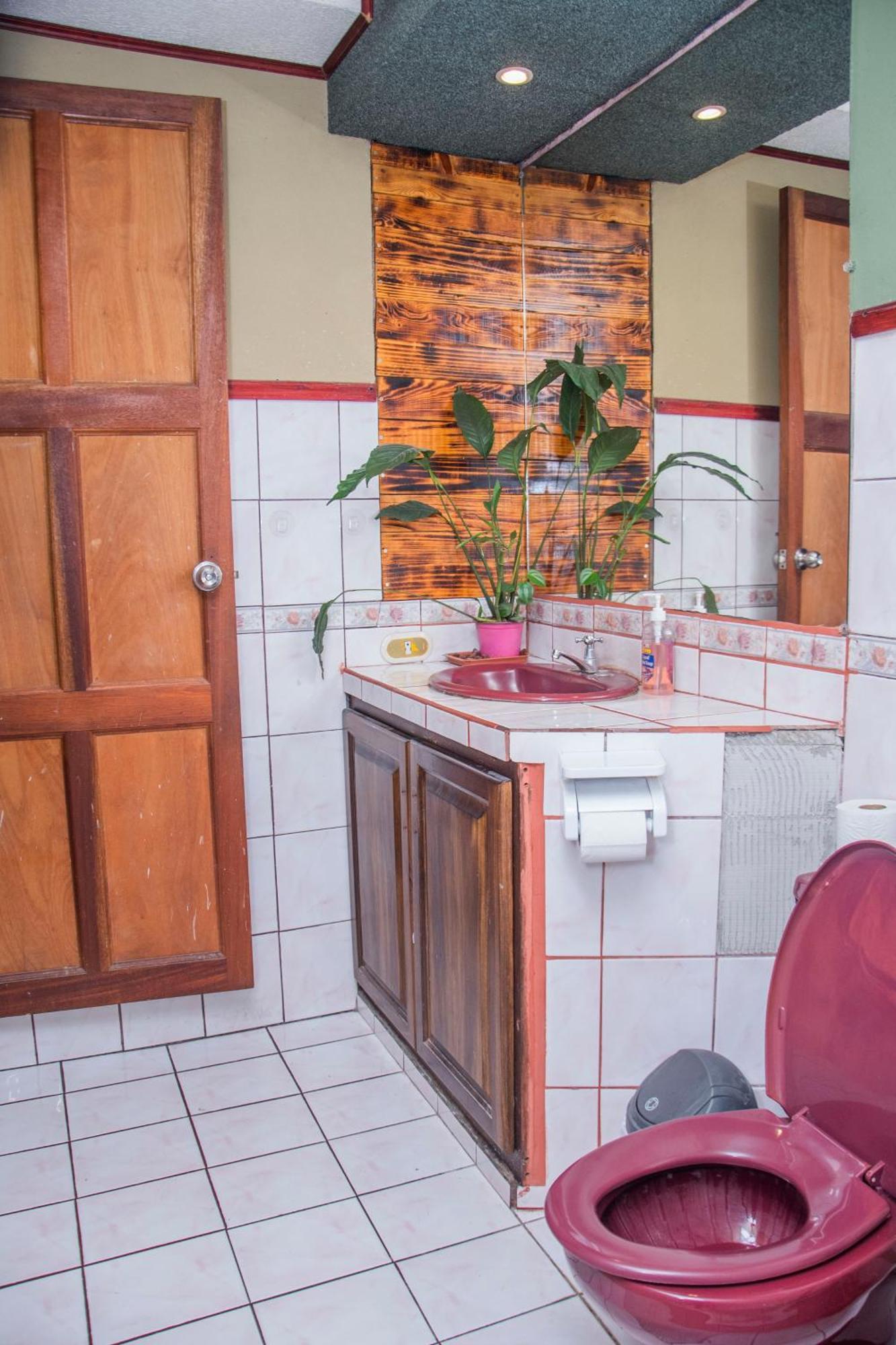 Gardens House, Airport Juan Santamaria, Alajuela, San Jose Vandrehjem Eksteriør billede