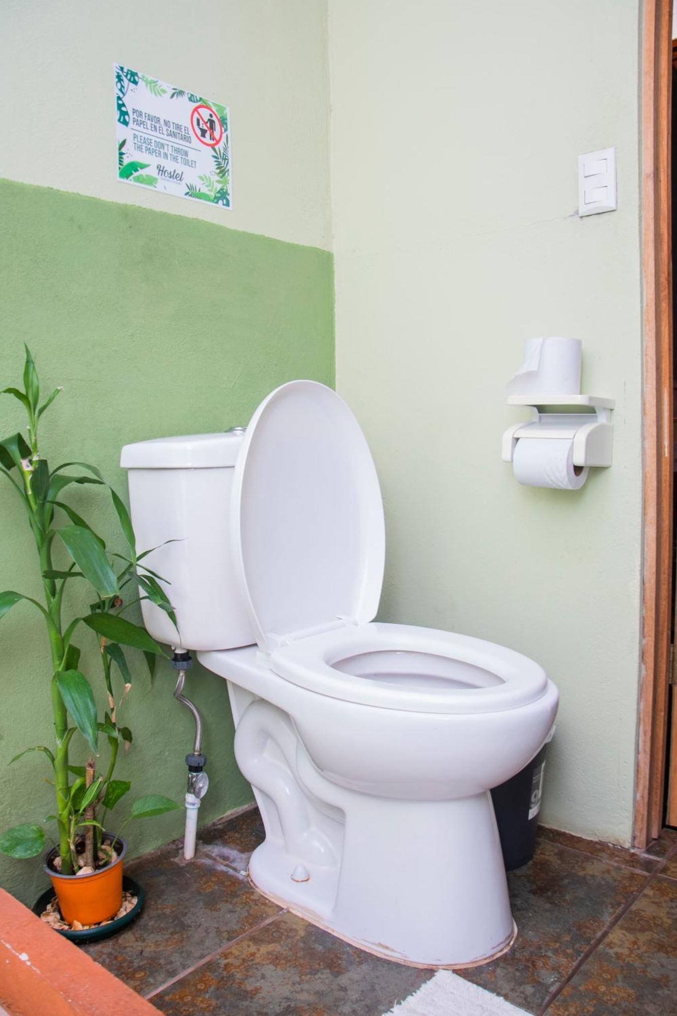 Gardens House, Airport Juan Santamaria, Alajuela, San Jose Vandrehjem Eksteriør billede
